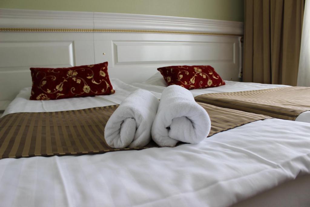 Hotel Golden Dome 伊萨尔米 外观 照片