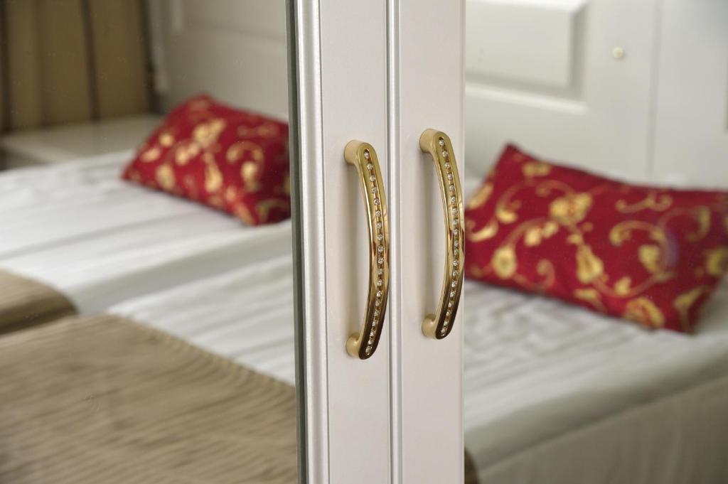 Hotel Golden Dome 伊萨尔米 客房 照片